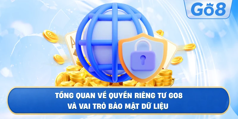 Tổng Quan Về Quyền Riêng Tư GO8 Và Vai Trò Bảo Mật Dữ Liệu